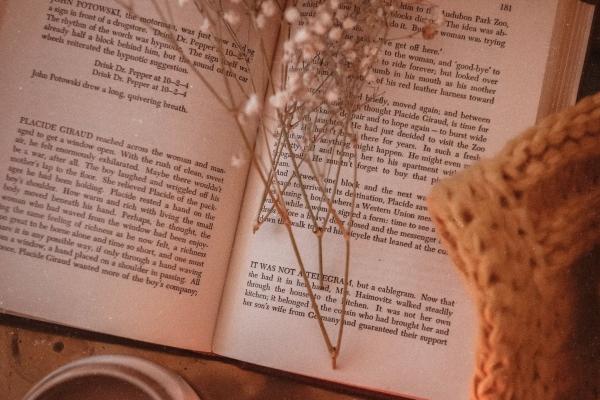 今晚能看到真正的龙抬头 龙形天象将出现在夜空