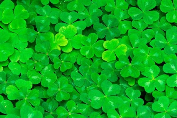 狂月天时 每日星座运势0223