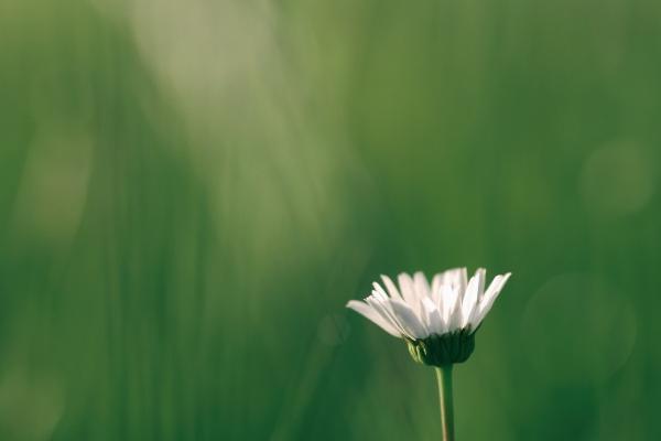 苏珊大妈水瓶座2023年3月运势详解