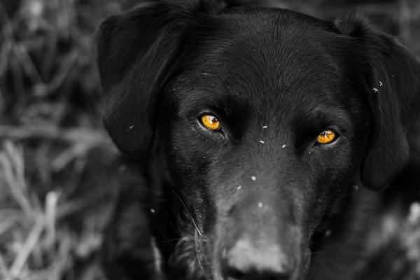 比较财气的公司名字有哪些好听 好的公司名称推荐