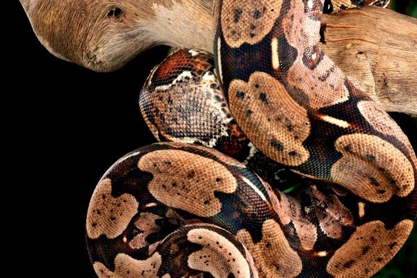 水瓶座2023年婚姻运10月情况  正式进入婚姻状态  　　