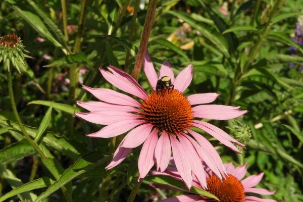 处座男爱上摩羯女的表现 为什么不能爱上摩羯女