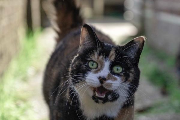 唐绮阳水瓶座2023年3月运势详解