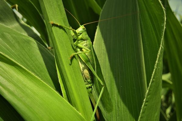 2023年吸引人的店铺名字大全 取名方法