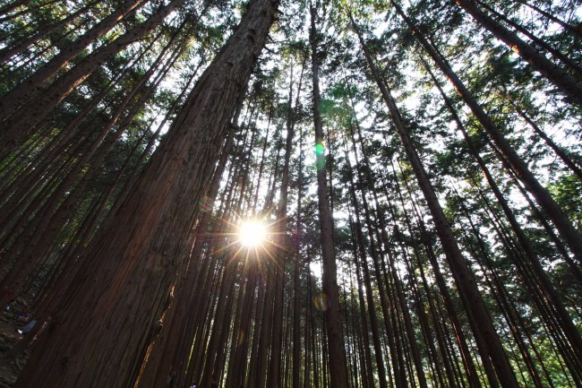 第一星运 小易占星2023年周运03.20-03.26