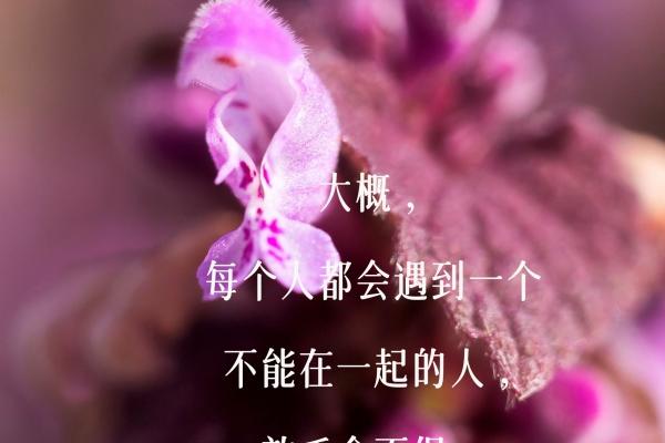 梦见丝瓜秧有何寓意