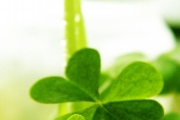 好听好记的公司名字大全 公司起名字大全免费