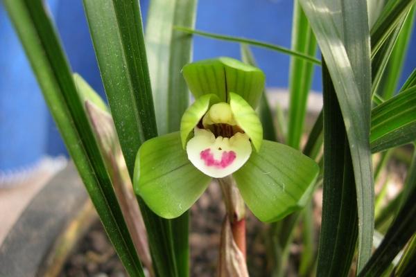 2023年做生意必定红火的名字 店铺起名小技巧