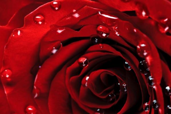 2023年4月30日是宜开市的日子吗 今日开业可否福伴鸿运蒸蒸上