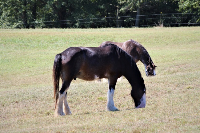 好听的服装公司名字大全2023 适合做服装公司的名字