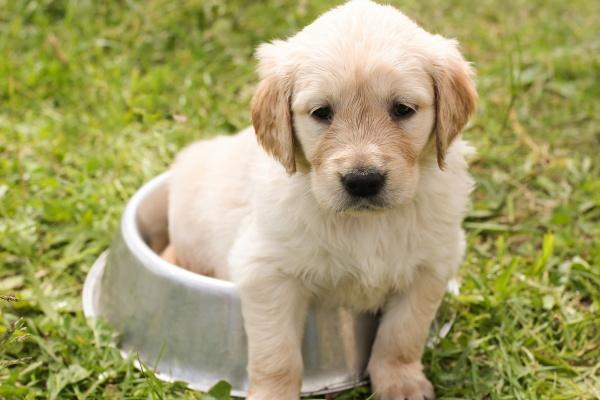 2023年4月30日是最佳乔迁日期吗 今日搬家是否栋梁起流芳百世