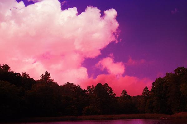 2023年4月份十二星座爱情运势大排名 有好事发生