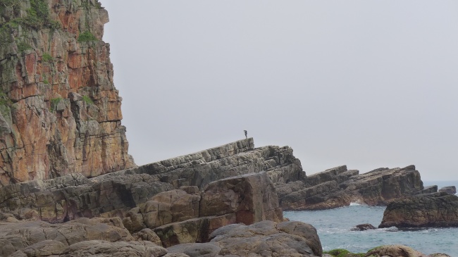 开店起什么名字响亮招财2023年 店铺怎么起名