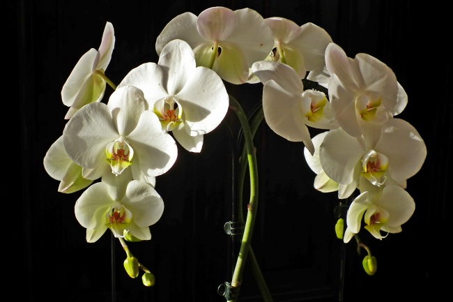 小乖麻  这个星座即将迎来沧海桑田 物是人非的改变