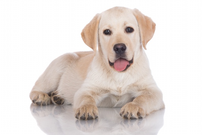 什么体型的女人没福气，没有福气的身材特点