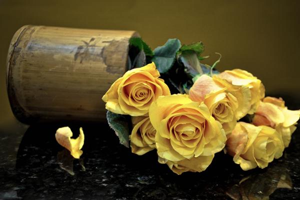 狂月天时 每日星座运势0303