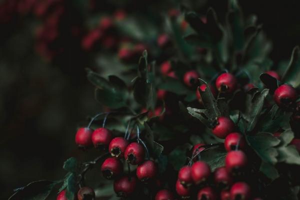 公司起名窍门 吉利大气的公司名字