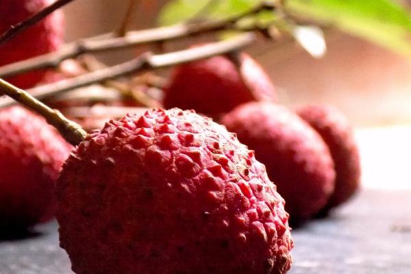 公司起名称怎么起 好听好记的公司名字大全