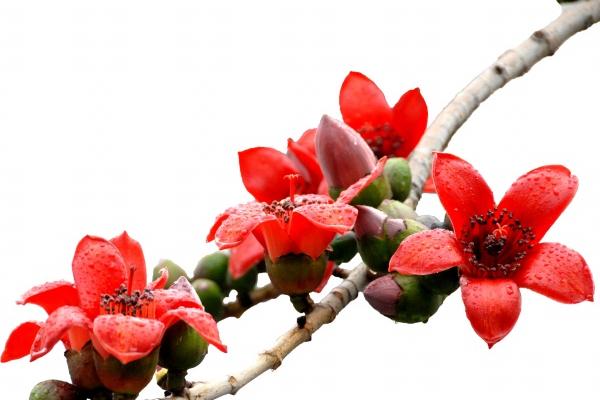 财运起飞!未来3周偏财横财大发的3星座!晋升加薪有望