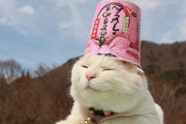 狂月天时 12星座一周简运2023/02/27-03/05