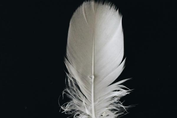 2023年七夕情人节爱情运极好的星座 遇见一见钟情