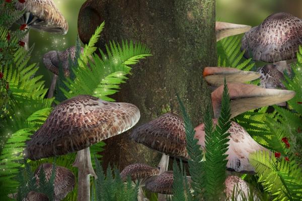 水瓶座2023年3月运势详解完整版 喜惧参半