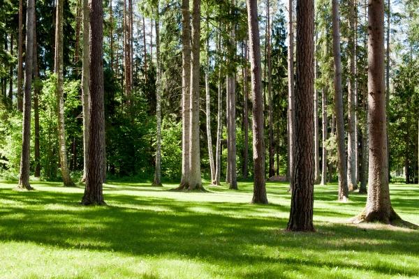 白羊巨蟹为啥是绝配 巨蟹男爱死白羊女了