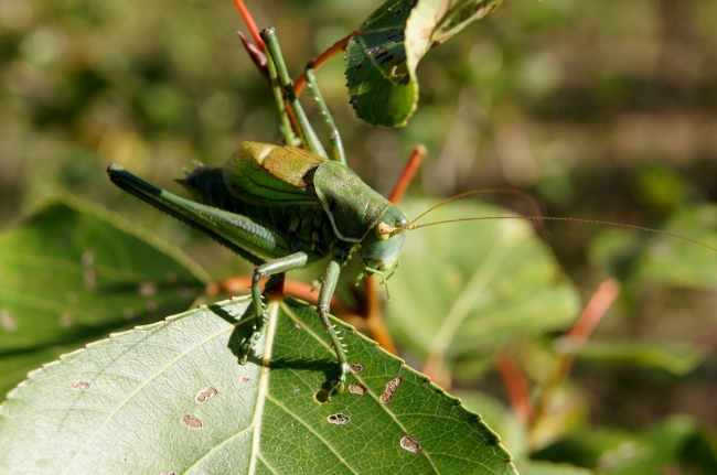 水瓶座2023年婚姻运夏季情况 烂桃花居多