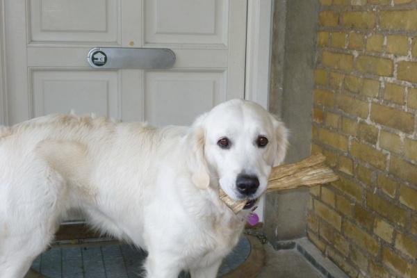 2023上半年桃花运最旺的星座，桃花爆棚的星座是谁