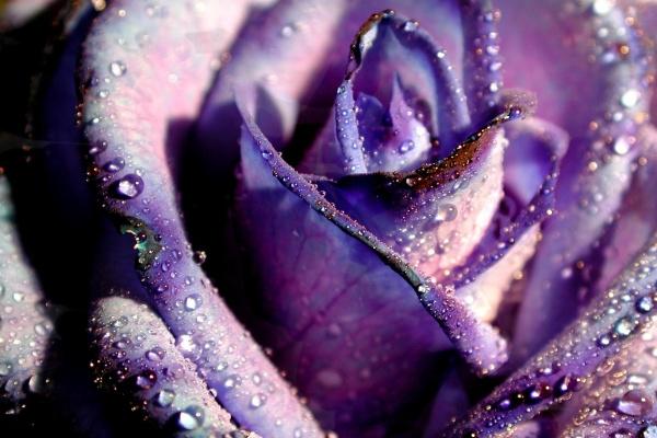 2023年闰二月能不能过两次生日 有何说法