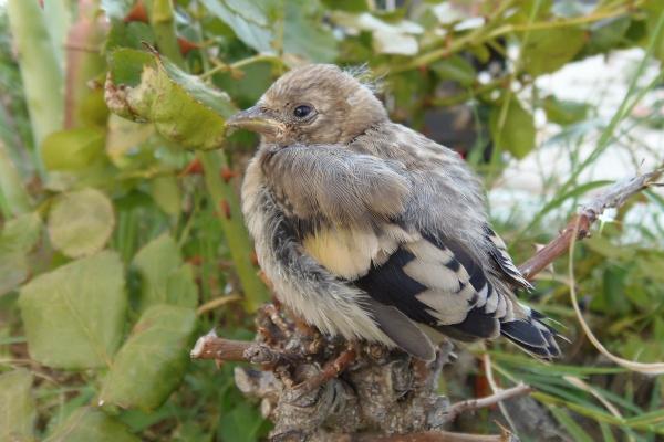 判答  金木合相温柔降临，12星座近期大事提前看！