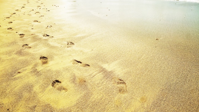 大气公司名字大全参考 公司名大气又旺财