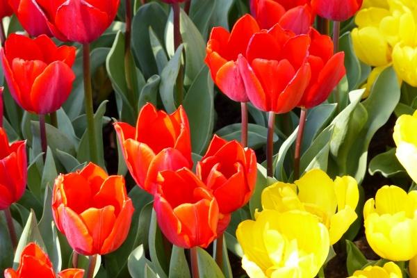 闹闹女巫  12星座今日运势0228