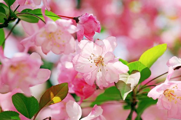 闹闹女巫 天秤座【2023.03月】运势