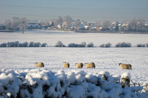 十二星座2023年5月份财富运势排行榜  谁是赚钱小能手  　　