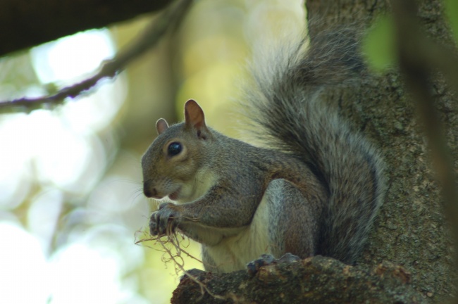 闹闹女巫 双鱼座【2023.03月】运势
