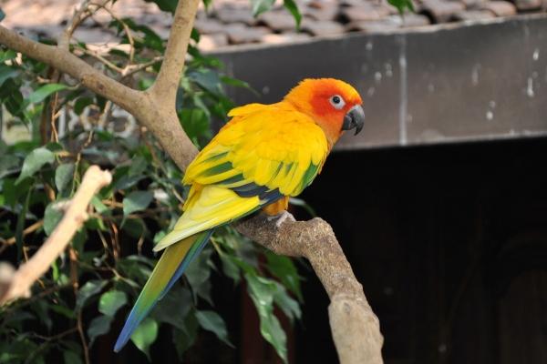 闹闹女巫 巨蟹座【2023.03月】运势