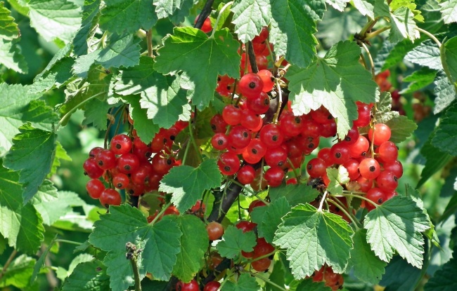 2023年躲春的时间是上午还是晚上 躲春的含义