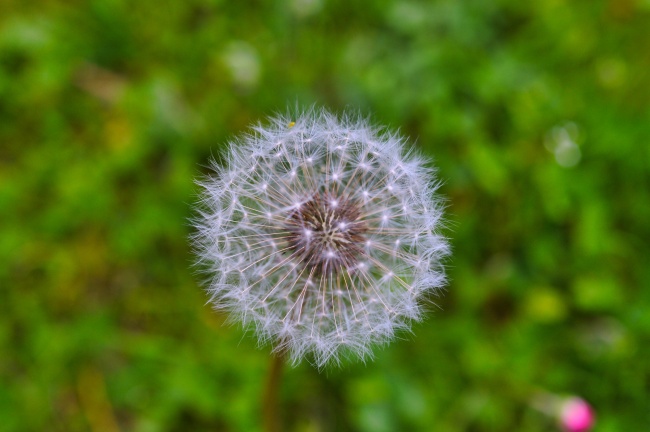 汽车销售公司名字起名大全 汽车销售公司起名霸气