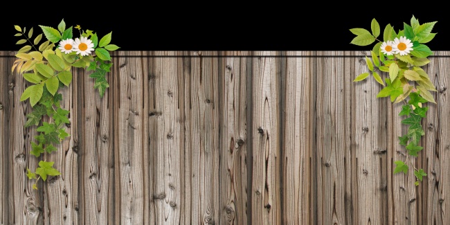 2023年新公司名称 好听又大气的公司名字2023