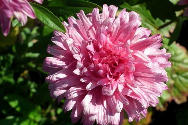 金牛跟水瓶座合得来么 水瓶座与金牛座的婚姻