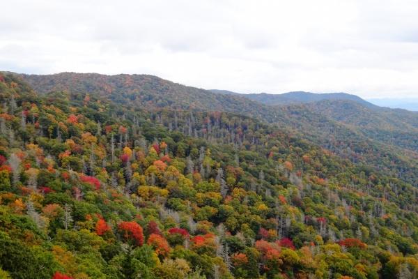 高端大气的公司名字大全 2023最新公司取名大全