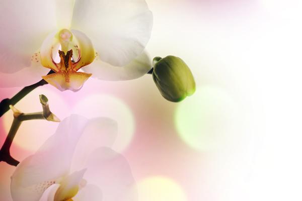 三个人开公司名字 多人合伙公司名字大全