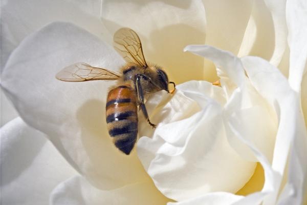 二个字好听的公司名字大全2023 公司起名字寓意好的字