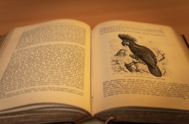 闹闹女巫 12星座今日运势0303