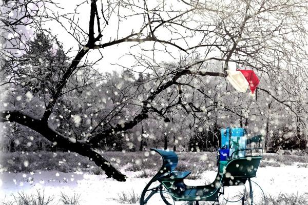 辛巳日柱遇见2023年兔 婚姻运势为大吉之象