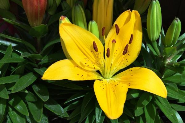 2023年3月出生的兔宝宝五行缺什么 是什么命