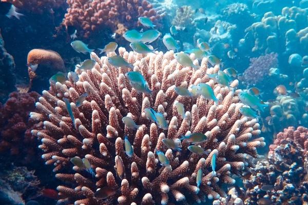 2023摩羯座全年运势详解 会遇到很多机遇