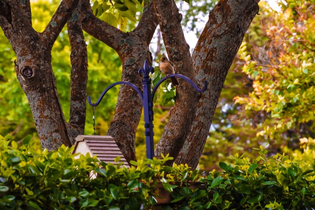 休闲聚集店铺名字大全 好听发财休闲店名