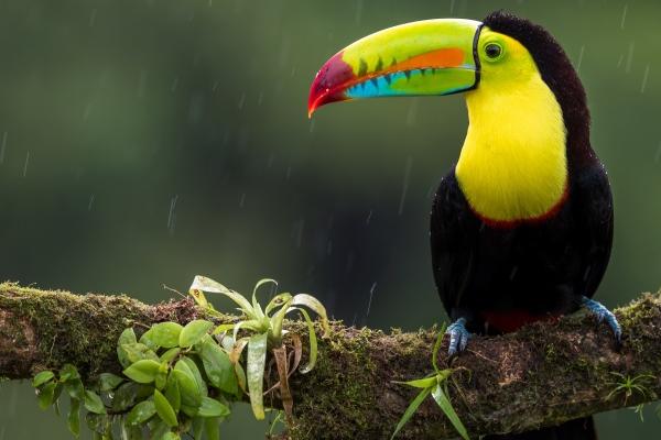 2023年3月出生的男宝宝五行属性 3月属兔人的命运